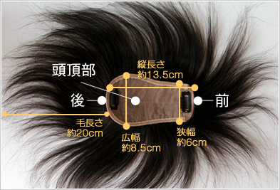 �T���v���ʐ^